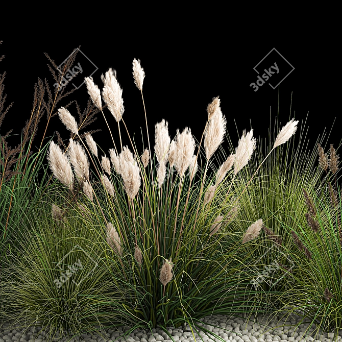 Assorted Ornamental Grass Collection 3D model image 5