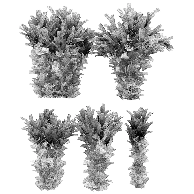 High-quality Common Mugwort 3D Model 3D model image 5