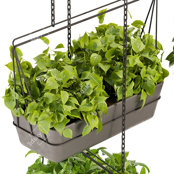 Premium Pothos Hanging Plant 3D model image 2