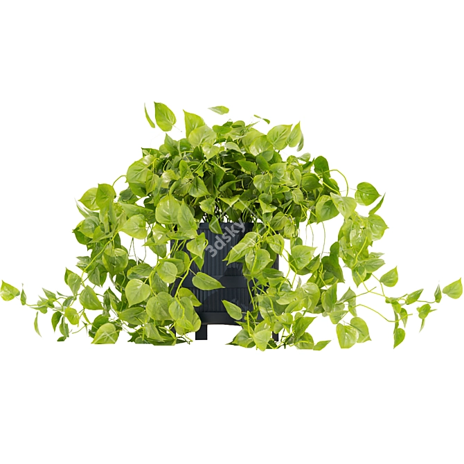 Quality Hanging Pothos Plant Décor 3D model image 5