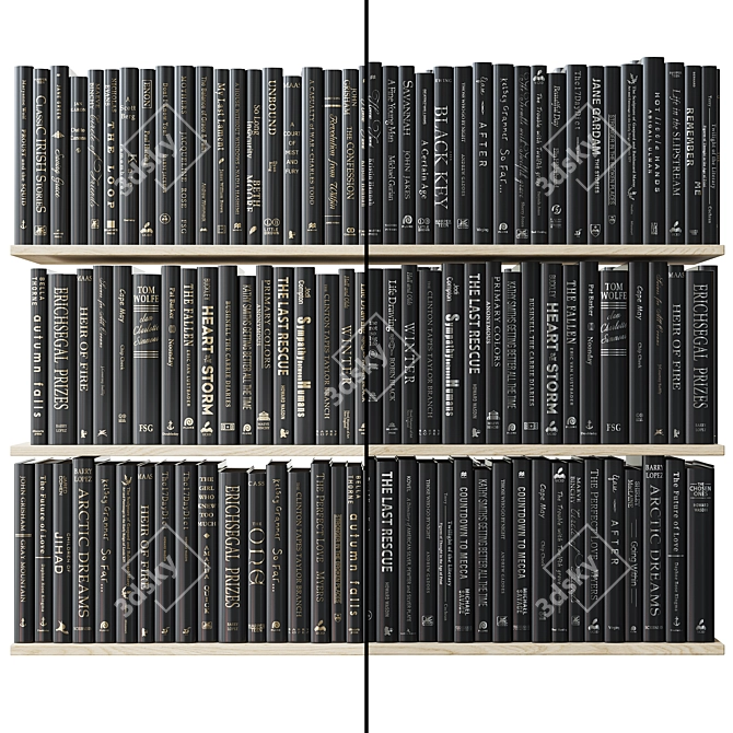 Gilded and Silvered Black Books 3D model image 2