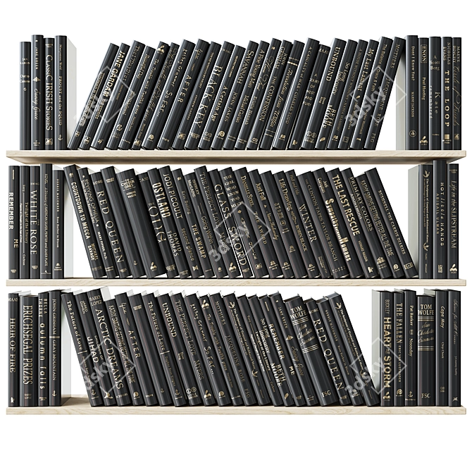 Gilded and Silvered Black Books 3D model image 3