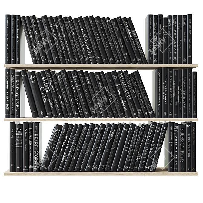 Gilded and Silvered Black Books 3D model image 4