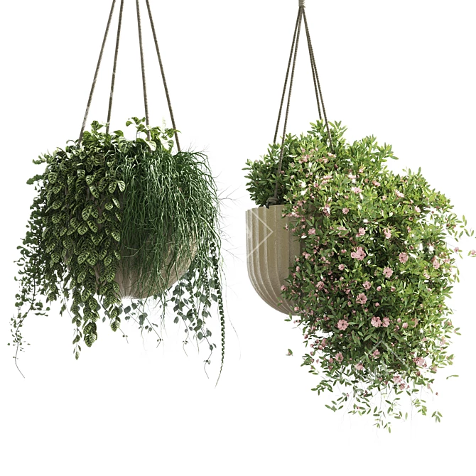 Modern Indoor Hanging Plant with Flower Pots 3D model image 1