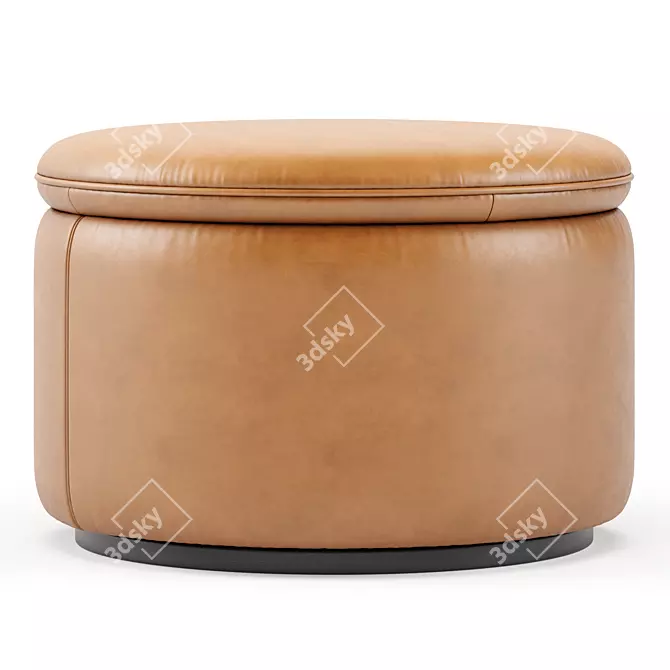 Modern DS 800 DeSede Pouf 3D model image 3