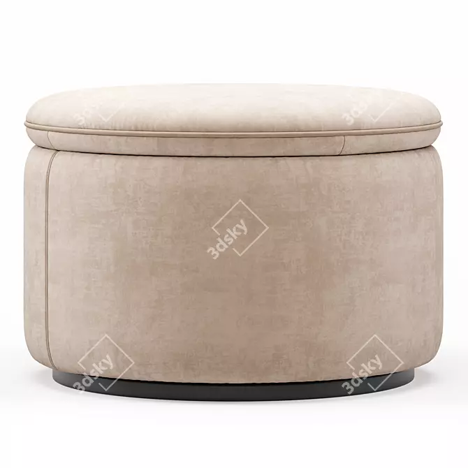 Modern DS 800 DeSede Pouf 3D model image 4