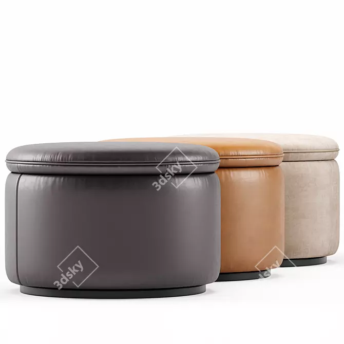 Modern DS 800 DeSede Pouf 3D model image 5