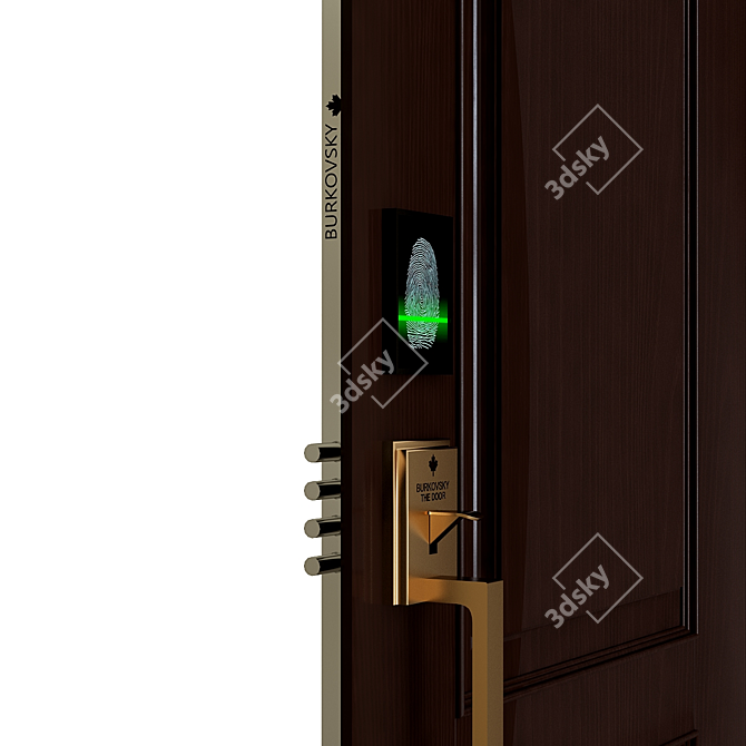 Rustic Wood Exterior Door 3D model image 2