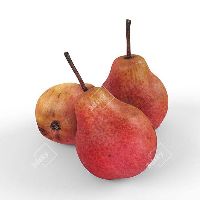 Crimson Pear Delight 3D model image 2