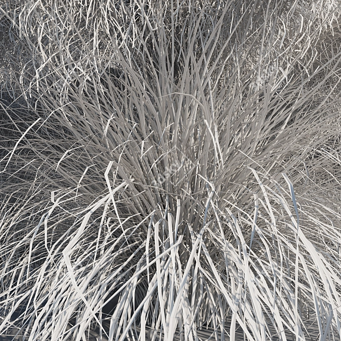 Pink Muhly Grass 3D Model 3D model image 13