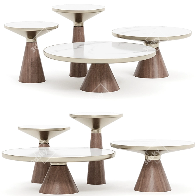 Elegant Modern Coffee Table Set 3D model image 1