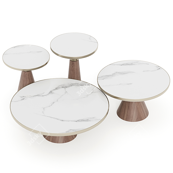 Elegant Modern Coffee Table Set 3D model image 2