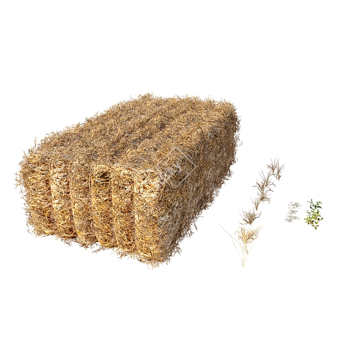 Rural Field with Scattered Hay 3D model image 5