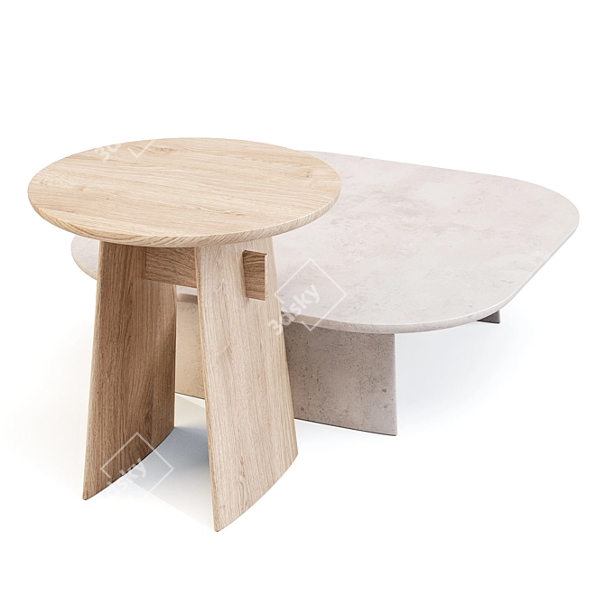 Natuzzi Adam Coffee Side Table 3D model image 2