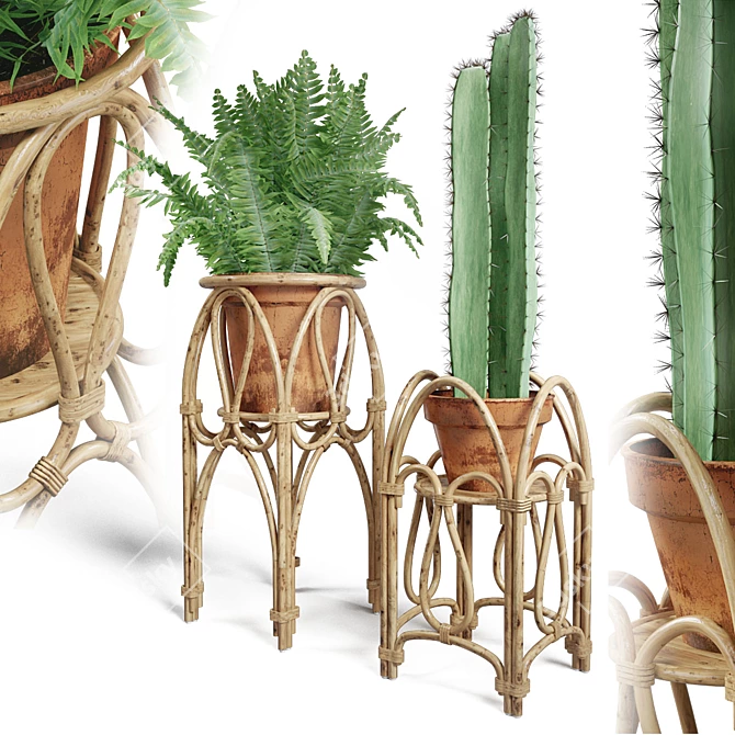 Boho Rattan Plant Stand 3D model image 1