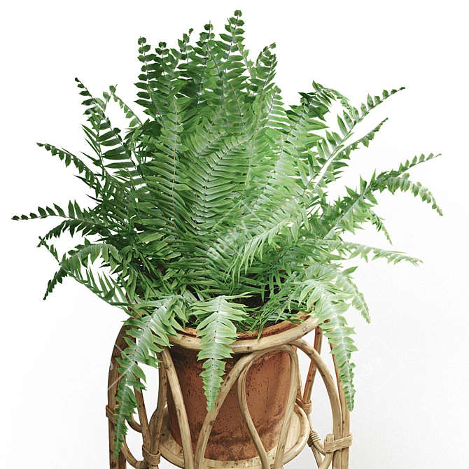 Boho Rattan Plant Stand 3D model image 2