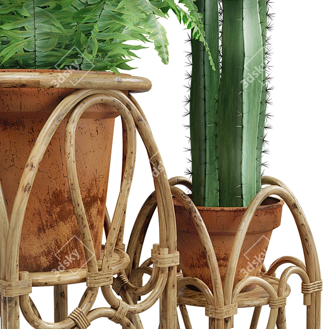 Boho Rattan Plant Stand 3D model image 5