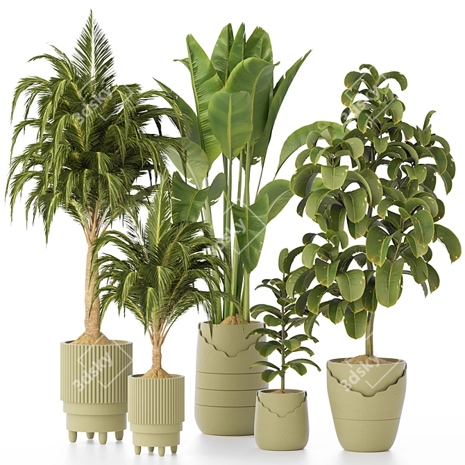 Premium Indoor Plant Collection 135 3D model image 1