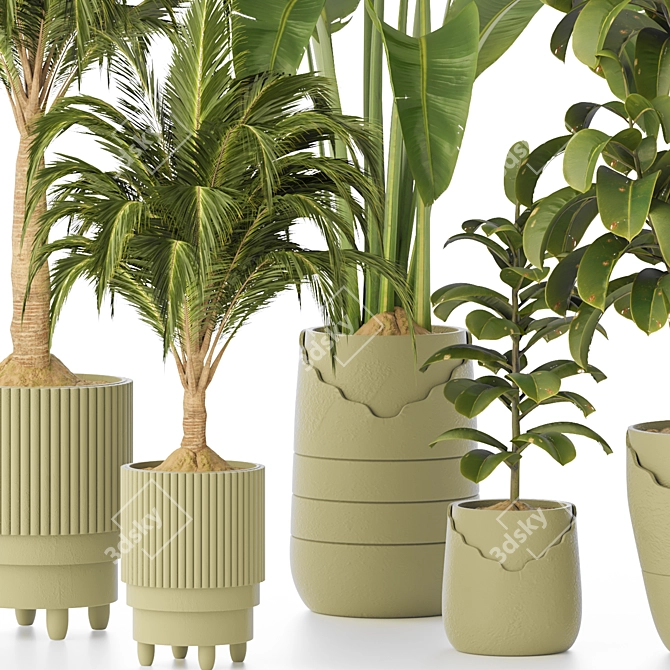 Premium Indoor Plant Collection 135 3D model image 2