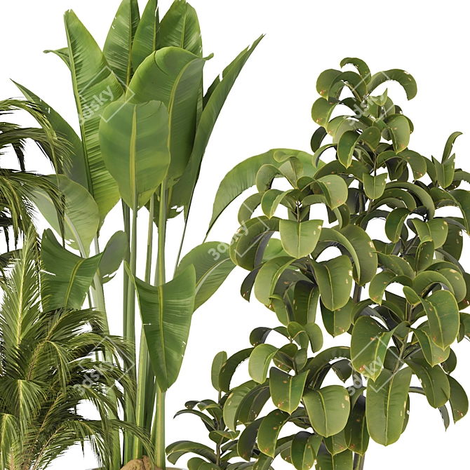 Premium Indoor Plant Collection 135 3D model image 3