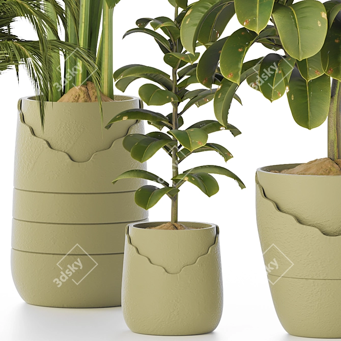 Premium Indoor Plant Collection 135 3D model image 4