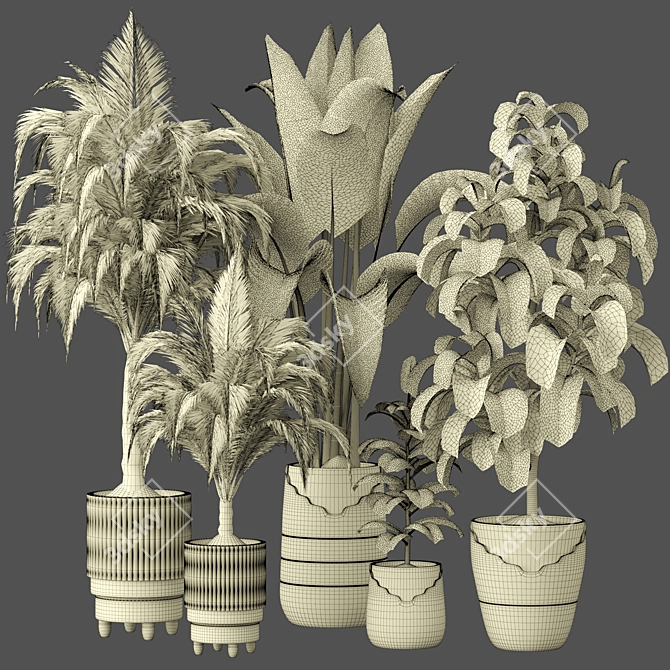 Premium Indoor Plant Collection 135 3D model image 5