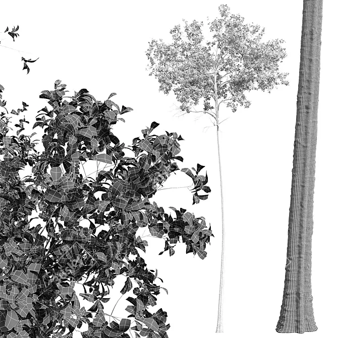 Aspen Tree 3D Model Bundle 3D model image 4