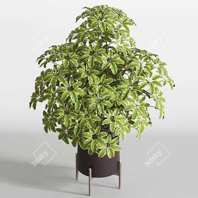 Botanical Bundle 759 3D model image 3