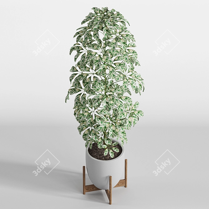 Diverse Greenery Collection 760 3D model image 4