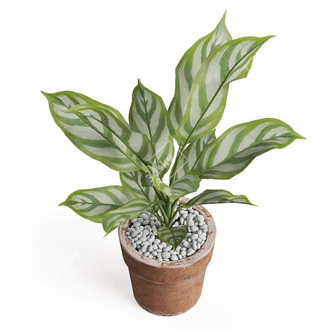 Premium Plant Collection Set 766 3D model image 3