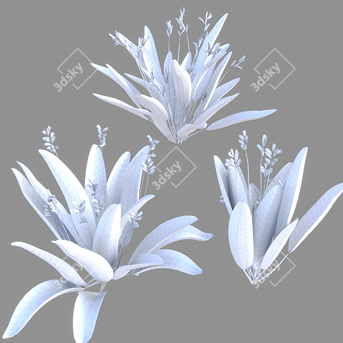 Tropical Bird of Paradise Plant 3D model image 5