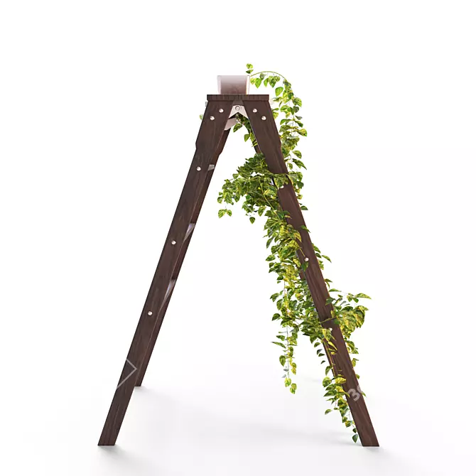 Devil's Ivy on Ladder Stand 3D model image 3