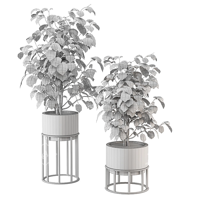 3D Indoor Plants Set 480 3D model image 7