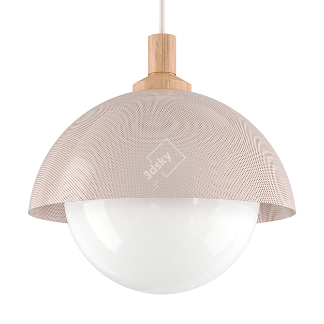 Perforated Dome Pendant | Metal Plafon 3D model image 1