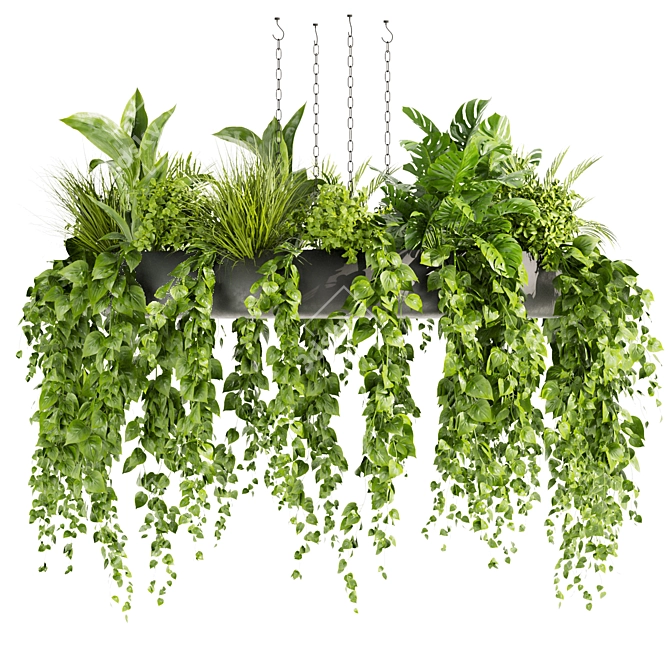 Volume 380 Hanging Pothos Plant 3D model image 3