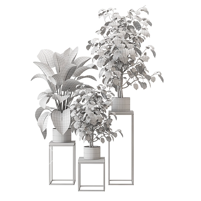 Botanical Bliss Collection - Vray/Corona 3D model image 7