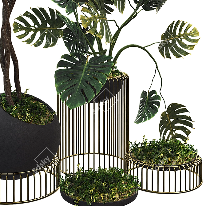 Botanical Plant Collection Set 06 3D model image 2