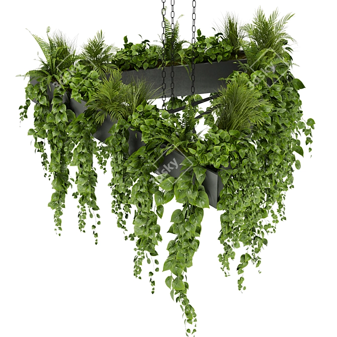 Exquisite Pothos Hanging Plant 3D model image 2