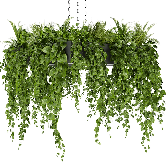 Exquisite Pothos Hanging Plant 3D model image 5