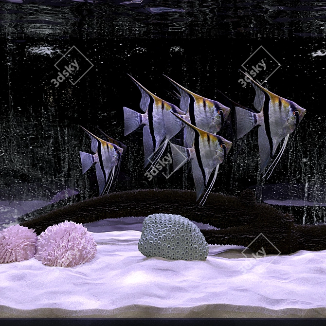 Aquarium Angel Fish 3D Model 3D model image 2