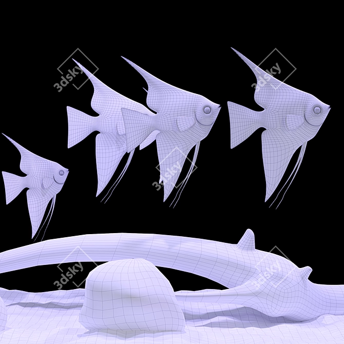 Aquarium Angel Fish 3D Model 3D model image 11