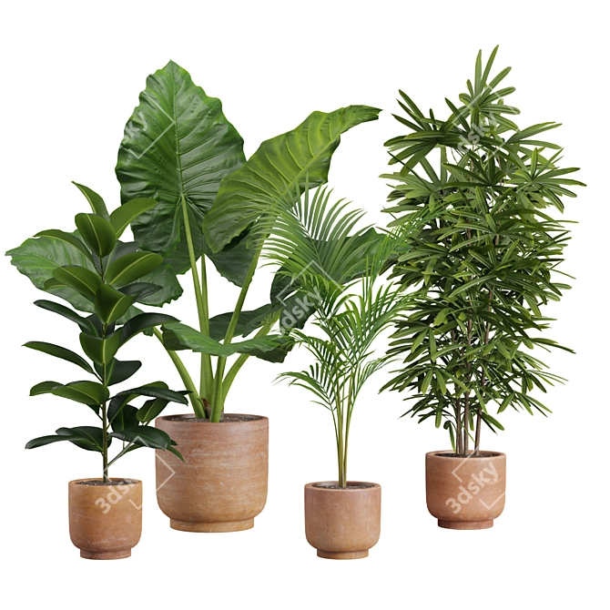 Exotic Indoor Plants Pack 26 3D model image 1