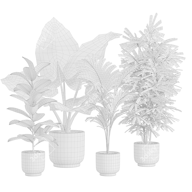 Exotic Indoor Plants Pack 26 3D model image 3