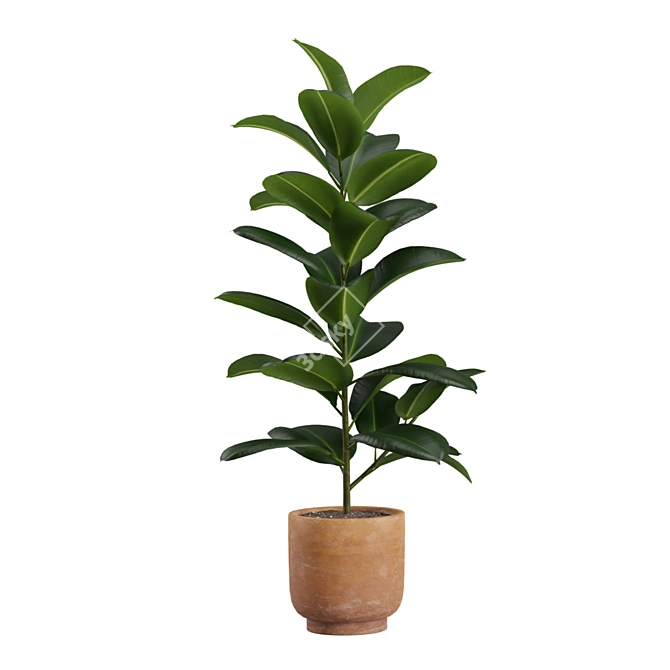 Exotic Indoor Plants Pack 26 3D model image 5