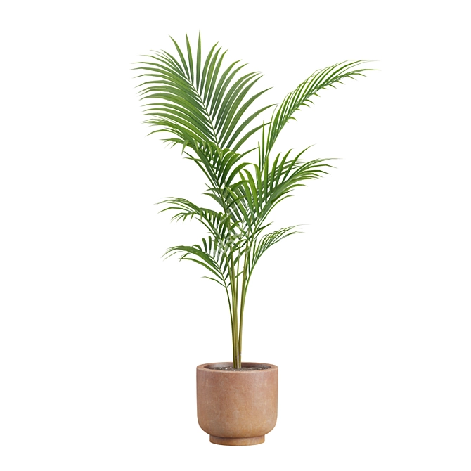 Exotic Indoor Plants Pack 26 3D model image 6