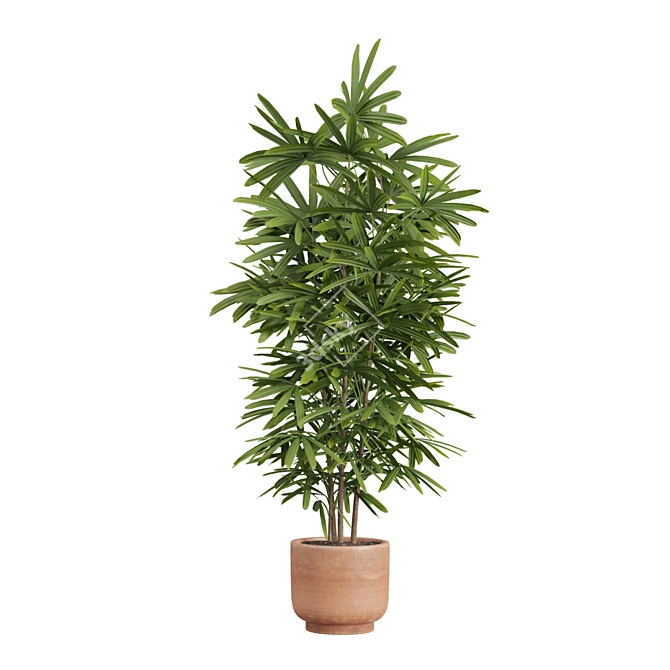 Exotic Indoor Plants Pack 26 3D model image 7