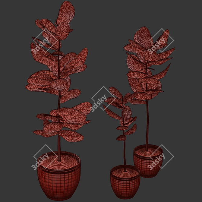 Modern Interior Plant 3D Model 3D model image 4