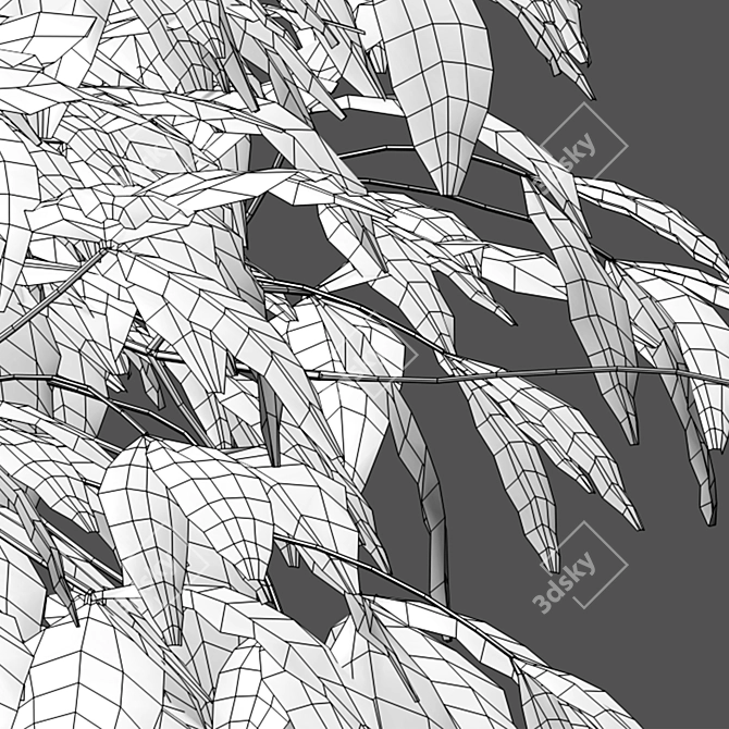 Complete 3D Plant Model Collection 3D model image 3