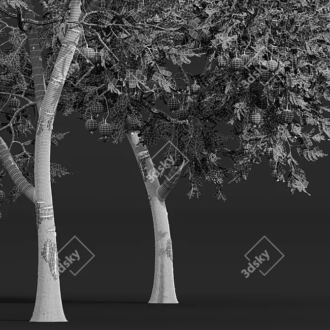 Pomegranate Plant 3D Models Set 3D model image 5