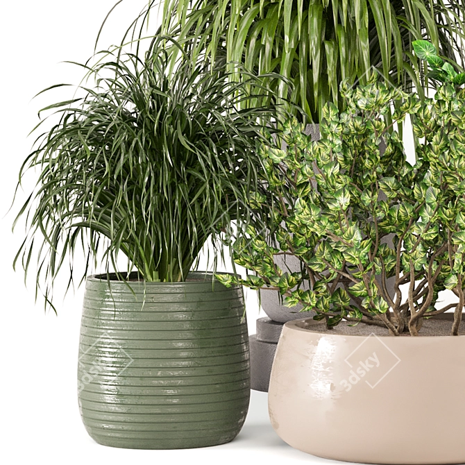 3D Indoor Plants Collection 485 3D model image 2